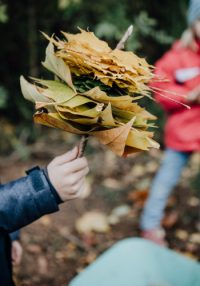Bauernhof Kindergarten in Langenau | Über uns
